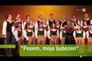 doberdan2